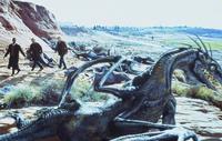 Evolution - 8 x 10 Color Photo #1