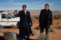 Evolution - 8 x 10 Color Photo #5