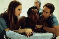Evolution - 8 x 10 Color Photo #7