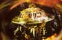 Fantastic Voyage - 8 x 10 Color Photo #1