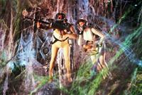 Fantastic Voyage - 8 x 10 Color Photo #2