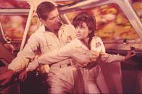 Fantastic Voyage - 8 x 10 Color Photo #4