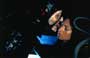 Farscape - 8 x 10 Color Photo #18