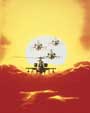 Fire Birds - 8 x 10 Color Photo #3