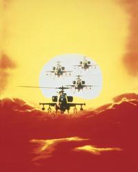 Fire Birds - 8 x 10 Color Photo #3