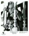 Flowers in the Attic - 8 x 10 B&W Photo #5