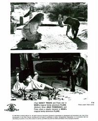 Fluke - 8 x 10 B&W Photo #2