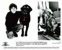 Fluke - 8 x 10 B&W Photo #5