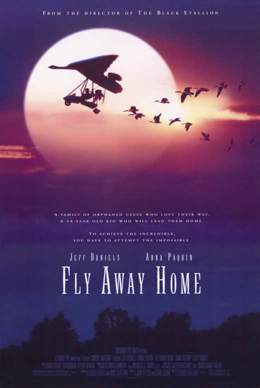 Fly Away Home Movie Posters From Movie Poster Shop