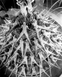Footlight Parade - 8 x 10 B&W Photo #6