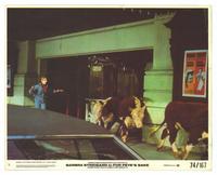 For Pete's Sake - 8 x 10 Color Photo #4