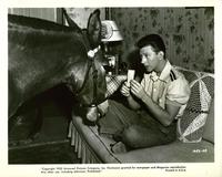 Francis Covers the Big Town - 8 x 10 B&W Photo #2