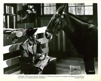 Francis Covers the Big Town - 8 x 10 B&W Photo #3