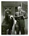 Francis in the Haunted House - 8 x 10 B&W Photo #6