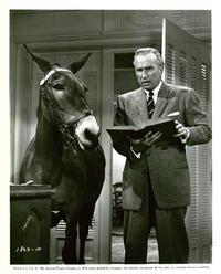 Francis in the Haunted House - 8 x 10 B&W Photo #6