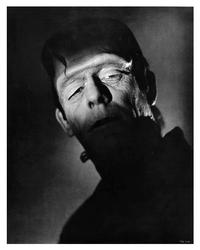 Frankenstein - 8 x 10 B&W Photo #1