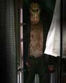 Friday the 13th - 8 x 10 Color Photo #1