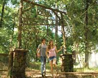 Friday the 13th - 8 x 10 Color Photo #10