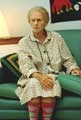 Fried Green Tomatoes - 8 x 10 Color Photo #10