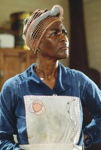 Fried Green Tomatoes - 8 x 10 Color Photo #7