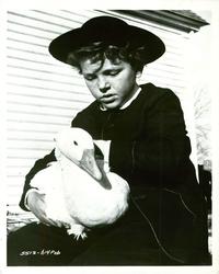 Friendly Persuasion - 8 x 10 B&W Photo #1
