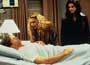 Friends (TV) - 8 x 10 Color Photo #018