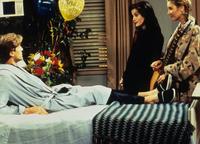 Friends (TV) - 8 x 10 Color Photo #017