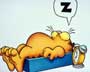 Garfield - 8 x 10 Color Photo #2