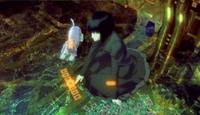 Ghost in the Shell 2: Innocence - 8 x 10 Color Photo #9