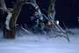 Ghost Rider - 8 x 10 Color Photo #21
