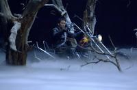 Ghost Rider - 8 x 10 Color Photo #21
