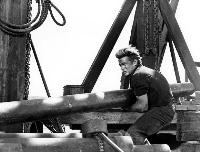 Giant - 8 x 10 B&W Photo #4