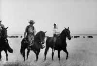 Giant - 8 x 10 B&W Photo #21