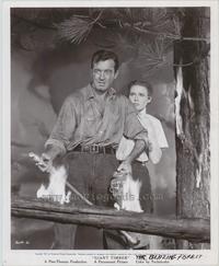 Giant Timber - 8 x 10 B&W Photo #1