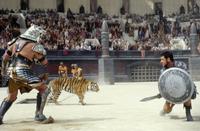 Gladiator - 8 x 10 Color Photo #19