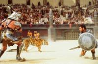Gladiator - 8 x 10 Color Photo #51