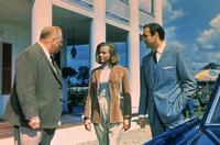 Goldfinger - 8 x 10 Color Photo #2