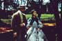 Gone with the Wind - 8 x 10 Color Photo #25