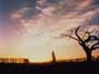 Gone with the Wind - 8 x 10 Color Photo #28