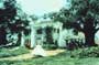 Gone with the Wind - 8 x 10 Color Photo #31