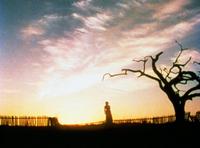 Gone with the Wind - 8 x 10 Color Photo #28