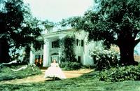 Gone with the Wind - 8 x 10 Color Photo #31
