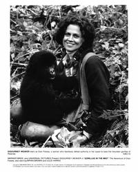 Gorillas in the Mist - 8 x 10 B&W Photo #2
