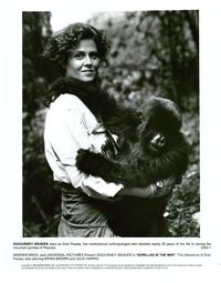 Gorillas in the Mist - 8 x 10 B&W Photo #3
