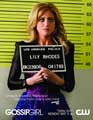 Gossip Girl (TV) - 11 x 17 TV Poster - Style V