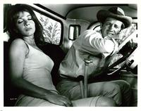 Greed in the Sun - 8 x 10 B&W Photo #2