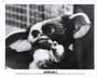 Gremlins 2: The New Batch - 8 x 10 B&W Photo #1