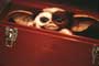 Gremlins 2: The New Batch - 8 x 10 Color Photo #3