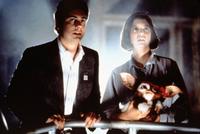 Gremlins 2: The New Batch - 8 x 10 Color Photo #2