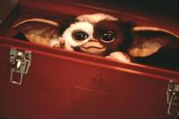 Gremlins 2: The New Batch - 8 x 10 Color Photo #3